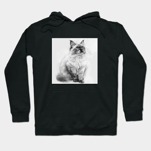 Silent Eloquence: The Regal Ragdoll Hoodie by DinoPals